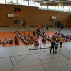 Finale der Landesmeisterschaft U12 weiblich