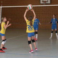 Finale der Landesmeisterschaft U12 weiblich