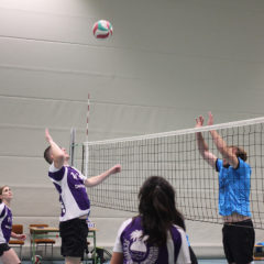 Schmalibus : VV70 Meiningen