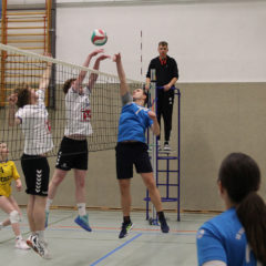 Schmalkalder VV (Mixed) : SG Blau Weiß Schwallungen