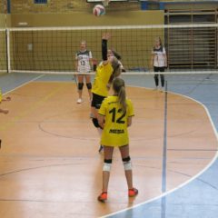 3. Runde – Landesmeisterschaft U14 weiblich