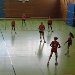 Regionalmeisterschaft U14 weiblich