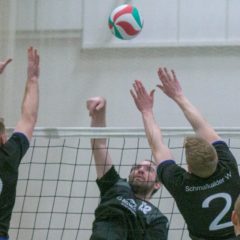 Schmalkalder VV (Herren I) : 1.TSV Bad Salzungen