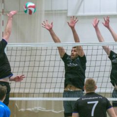 Schmalkalder VV (Herren I) : 1.TSV Bad Salzungen