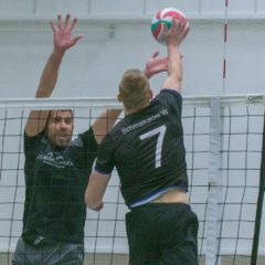 Schmalkalder VV (Herren I) : 1.TSV Bad Salzungen