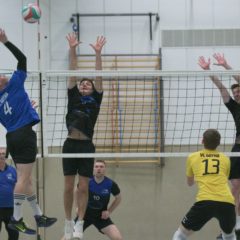 Schmalkalder VV (Herren I) : Blue Volleys Gotha