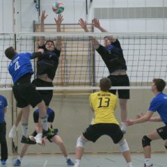 Schmalkalder VV (Herren I) : Blue Volleys Gotha