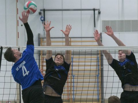 Schmalkalder VV (Herren I) : Blue Volleys Gotha