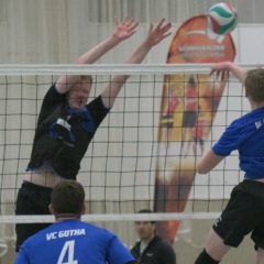 Schmalkalder VV (Herren I) : Blue Volleys Gotha