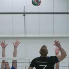 Schmalkalder VV (Herren I) : Blue Volleys Gotha