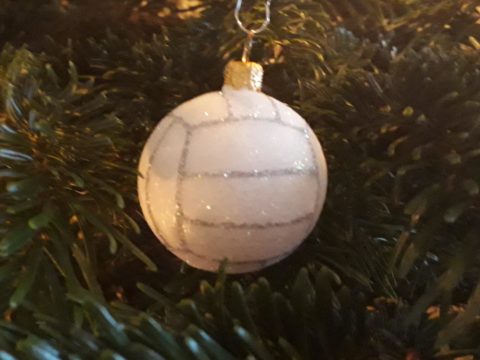 Challenge: Wer findet das schönste  Motiv „Volleyball und Weihnachten“