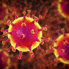 Corona-Virus: Trainings- und Wettkampfbetrieb teilweise eingestellt