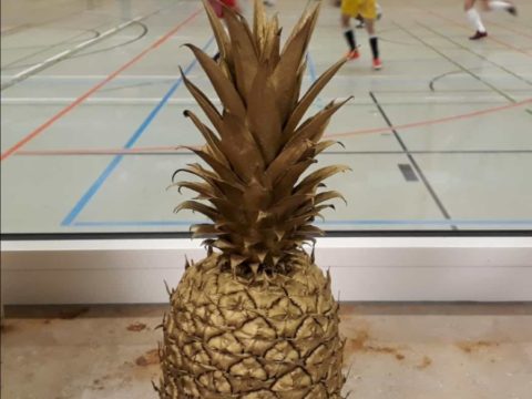 Fußball-Hallenturnier um die „Goldene Ananas“